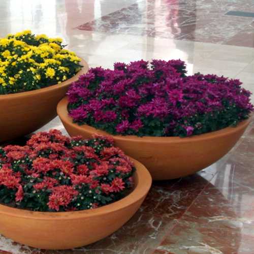 Macetas redondas chaparras modelo Jicaras de Fiberland con flroes de colores