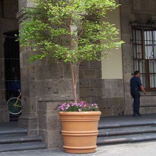Vaso Italiano gigante de barro en fibra de vidrio en el Palacio Municipal de Guadalajara