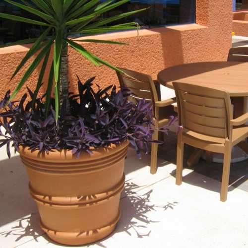 Maceta Vaso Italiano grande con plantas en la terraza de un hotel