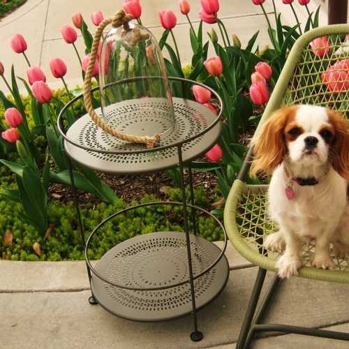 Gueridon o carrito de servicio redondo o mesa de apoyo para tus muebles de jardin