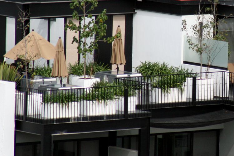Macetas minimalistas de fibra de vidrio en el roof garden del edificio Montemorelos